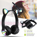 Cats ears headphone