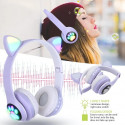 Cats ears headphone