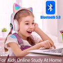 Cats ears headphone