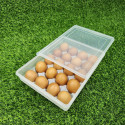 20 grid egg box 