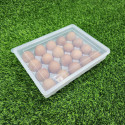 20 grid egg box 