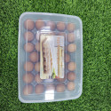 34 grid egg box