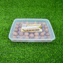 34 grid egg box