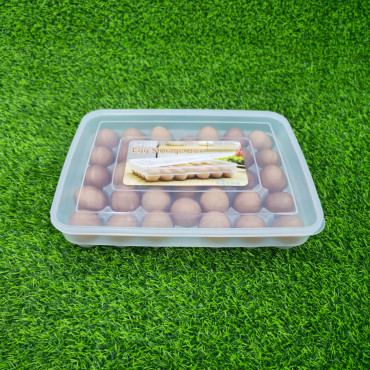 34 grid egg box...