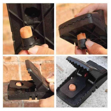 Mouse Trap Clip...
