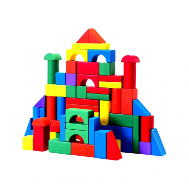 100 Piece Wooden Blo...