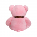 iBonny Teddy Bear